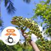 SHINEOFI Adjustable Lizard Harness with Durable Leather Leash view 3