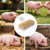 2-in-1 Interactive Pet Grooming Toy view 4