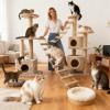102 cm Cat Ladder for Kittens with Scratching Surface view 2