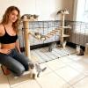 102 cm Cat Ladder for Kittens with Scratching Surface view 3