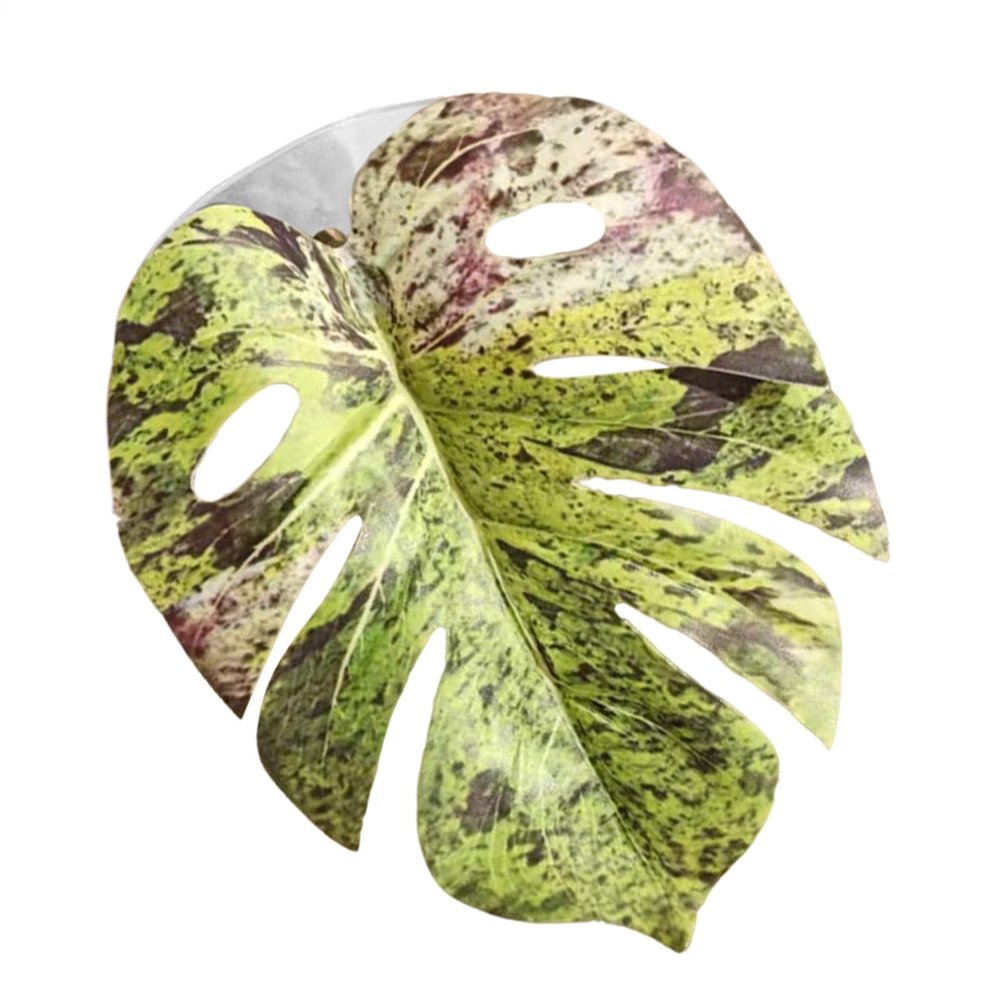 Salyeeluly Jumping Spider Plants, Simulated Pet Accessory with Suction Cup