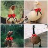 Toddmomy Adjustable Decorative Pet Collar with Bell view 2