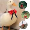 Toddmomy Adjustable Decorative Pet Collar with Bell view 3