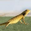 DOITOOL Cotton Reptile Mat Artificial Grass Decor for Bearded Dragons and Turtles view 3