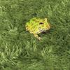 DOITOOL Cotton Reptile Mat Artificial Grass Decor for Bearded Dragons and Turtles view 4