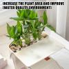 Transparent Stackable Reptile Habitat Tank with Adjustable Basking Platform view 3