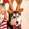 Adjustable Pet Collar for Dogs and Cats view 4