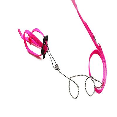 Adjustable Leash and Lizard Harness