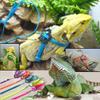 Adjustable Leash and Lizard Harness view 2