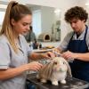 Dog Grooming Scissors Set for Puppies view 2