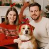 Christmas Dog Reindeer Headband view 3