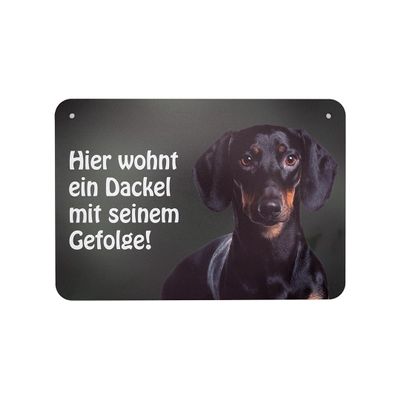 Dachshund Sign “A Dachshund and His Pack Live Here!” – Short-Haired Dachshund Door and Garden Sign, 26 x 18 cm
