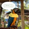 VALICLUD Pet Bird Anti-Bite Collars, 2-Piece Fleece and Linen Set view 2