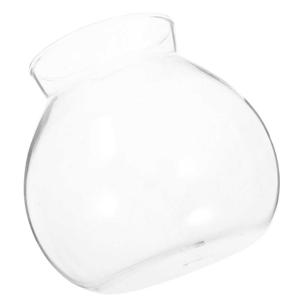 Housoutil Glass Micro-Plant Bottle for Desktop Aquariums, Terrariums, and Betta Fish