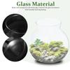Housoutil Glass Micro-Plant Bottle for Desktop Aquariums, Terrariums, and Betta Fish view 4