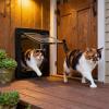 Asixxsix Cat Door, 4-Way Locking, Weather-Resistant ABS Pet Door, Size L view 2
