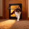 Asixxsix Cat Door, 4-Way Locking, Weather-Resistant ABS Pet Door, Size L view 3