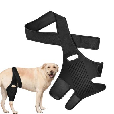 Generic Dog Knee Brace, 29 cm Long Rear Leg Support, Postoperative