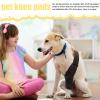 Generic Dog Knee Brace, 29 cm Long Rear Leg Support, Postoperative view 3