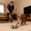 Interactive Cat Toys, 2-Piece Set, Squeaking and Realistic view 2