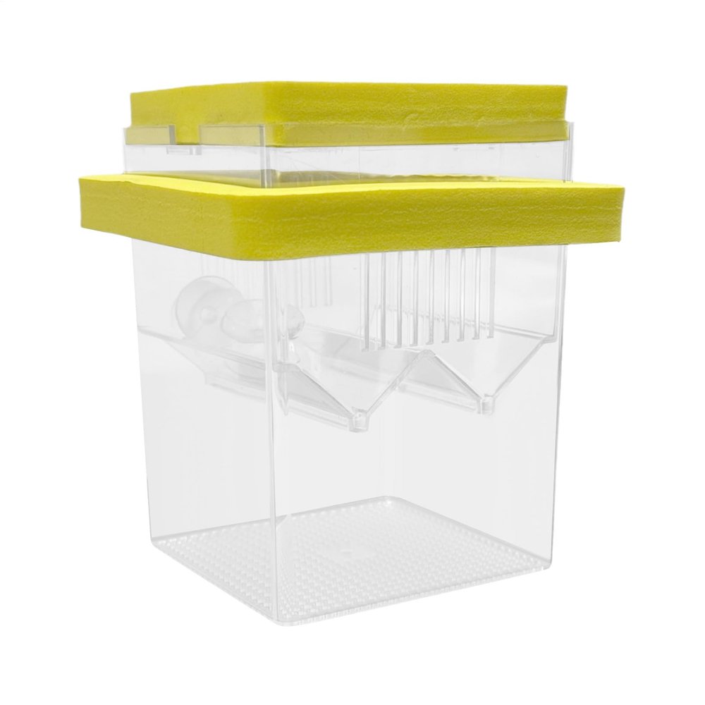 Fish Isolation Box for Aquariums