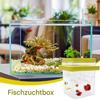 Fish Isolation Box for Aquariums view 2