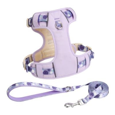 TAFALSPING Breathable Step-In Dog Harness, Adjustable No-Pull Safety Harness with Padding, Purple, S