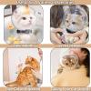 Cat Bubble Muzzle - Breathable Face Guard view 4