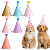 Tyqour 6-Piece Mini Party Hat Set for Small Pets with Pom-Poms view 1