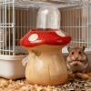 Bite-Resistant Ceramic Hamster Water Bottle view 3