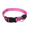WHITE FANG PURE INSTINCT ETERNAL PROTECTION LED Dog Collar view 1