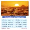 MZPOZB Juwel Aquarium Background Sticker Yellow Desert view 3