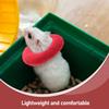 BCOATH 2-Piece Protective Collar for Guinea Pigs and Birds, Breathable Recovery Collar with Universal Fit and Cartoon Design view 3