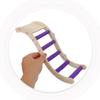 LOLIPPYY 3-Piece Wooden Parrot Climbing Ladder Toy with Perch and Swing view 4