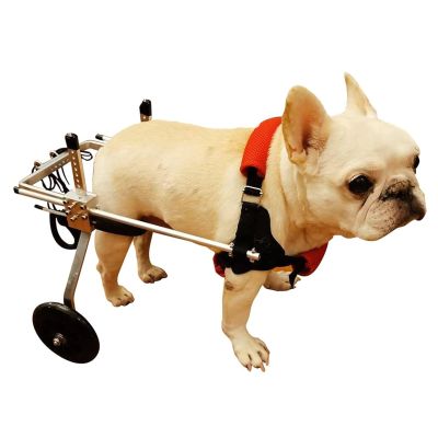 Adjustable Rear-Leg Dog Wheelchair, Lightweight Mobility Cart, XXS