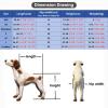 Adjustable Dog Wheelchair for Hind Legs | Mobility Aid for Disabled Pets, Injured and Arthritic Dogs | Cat Rehabilitation Cart for Aging Pets (Size X view 3
