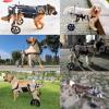 Adjustable 2-Wheel Dog Wheelchair for Front Legs, Medium to Large Dogs view 2