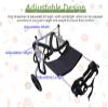 Adjustable 2-Wheel Dog Wheelchair for Front Legs, Medium to Large Dogs view 3
