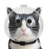 Cat Bubble Muzzle view 1