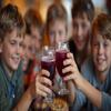 Wirth Winery Regent Red Grape Juice, Direct from the Winemaker (12 Bottles) view 2