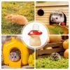 60 ml Hamster Water Bottle, Leakproof Mushroom Shape view 4