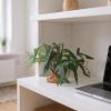 Terrarium Plants | Realistic Artificial Plant Decor for Aquariums view 3
