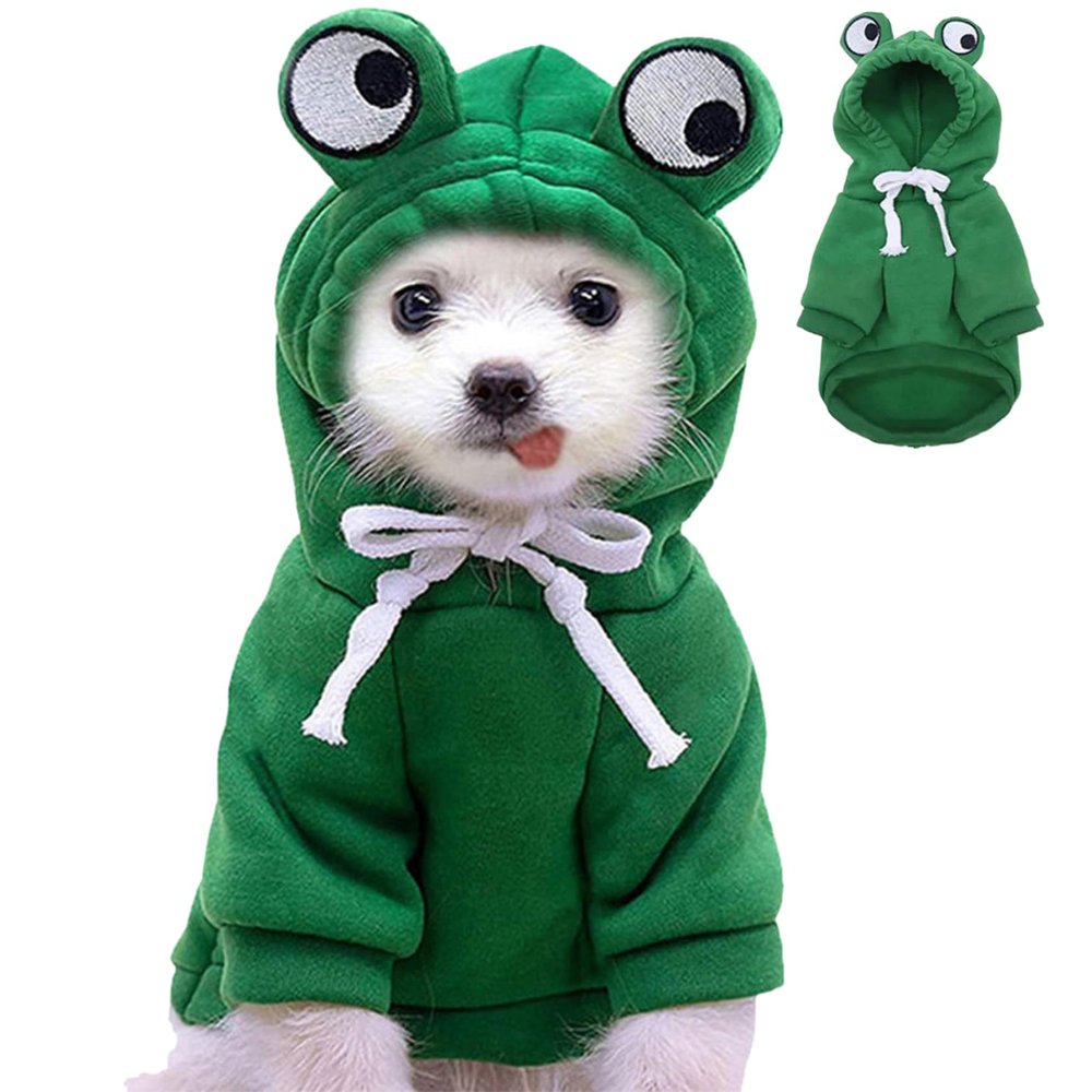 Dog Frog Hoodie