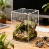 Jumping Spider Terrarium Habitat Box with Cave view 3