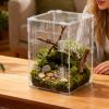 Jumping Spider Terrarium Habitat Box with Cave view 4