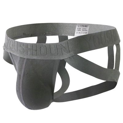 Men's Sexy Low Rise Briefs Ice Thread (Grey, XXXL)