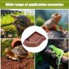 Turtle Water Bowl with Ramp - Decorative PVC Aquarium Accessory view 4