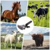 Livestock Curry Comb and Animal Washing Comb view 4