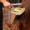 Horse Grooming Brush for Horses, Goats, Sheep, and Pets view 2