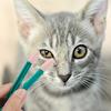 Yardwe 10-Piece Pet Eye Brushes with Soft Bristles and Tweezers for Tear Stains view 4